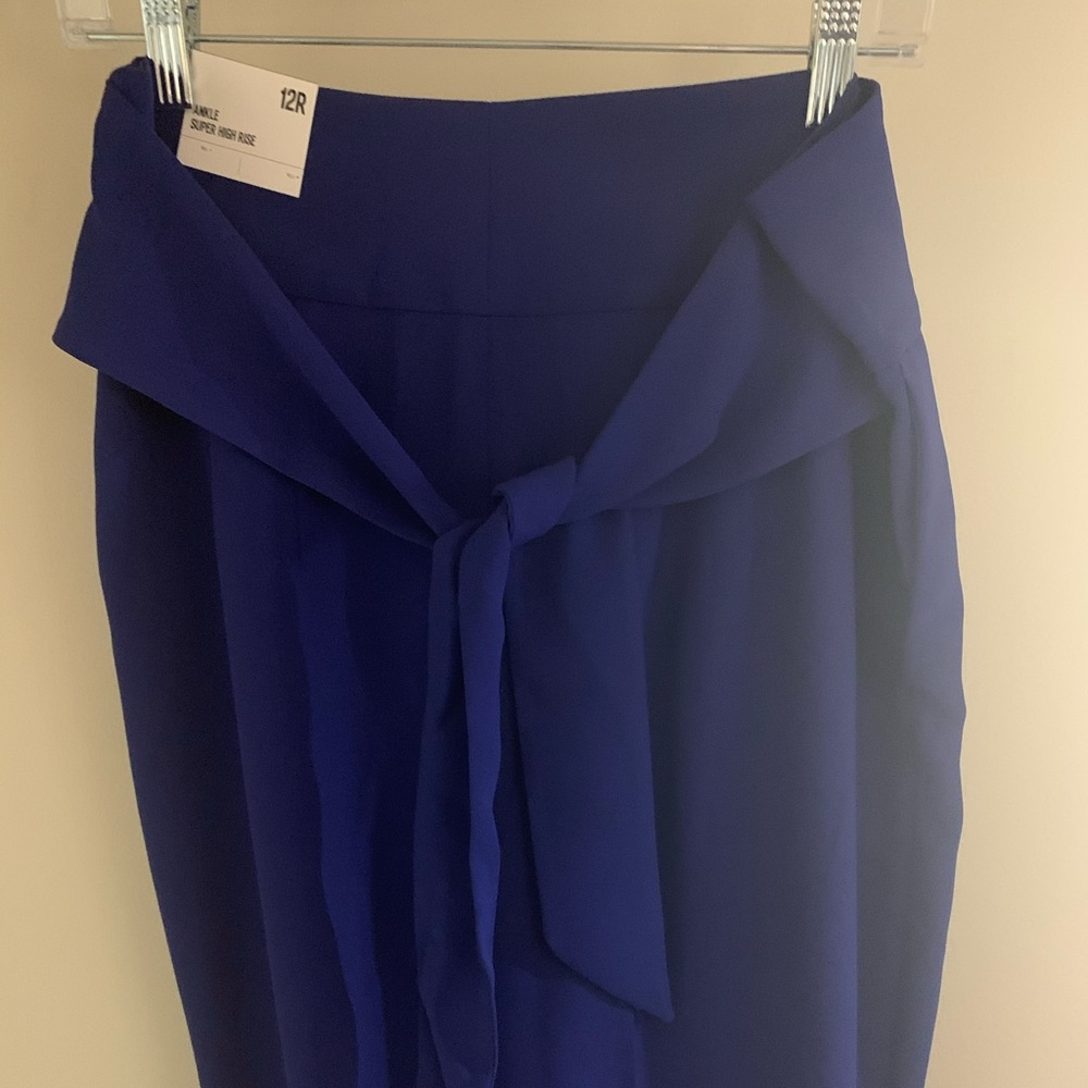 Professional dress pants